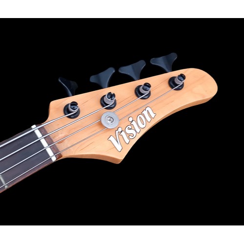 201 - A VISON GUITAR