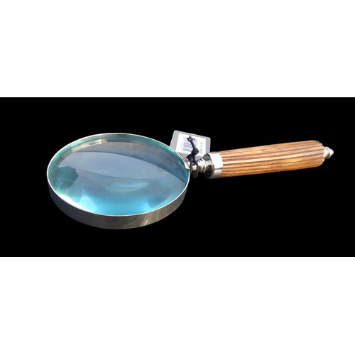 257 - A NEW MAGNIFYING GLASS