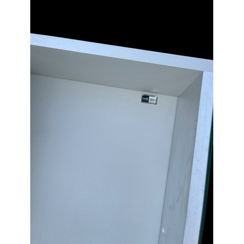 33 - MIRRORED BATHROOM CABINET 12x68