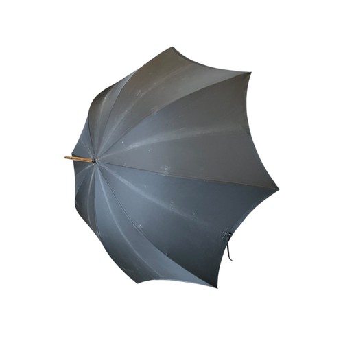 336 - A SILVER TIP AND COLLAR UMBRELLA