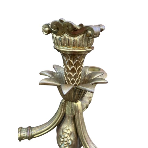 425A - AN ORNATE CLAW FOOTED BRASS CANDLELABRA