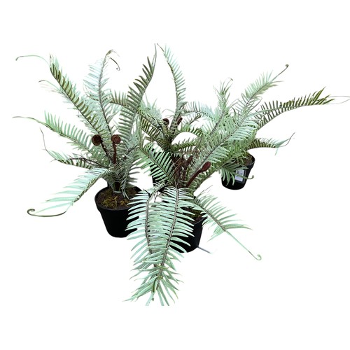 143 - A LOT OF 4 NEW ARTIFICIAL FERNS INOPOTS MAX HEIGHT IS 18