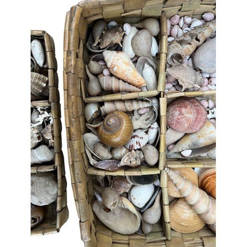 421 - A WICKER MULTI COMPARTMENT BASKET FILLED WITH SEASHORE ITEMS , SHELLS , CORALS ETC