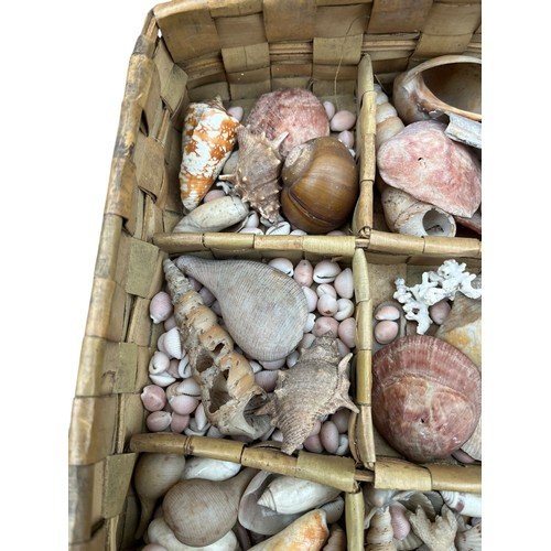 421 - A WICKER MULTI COMPARTMENT BASKET FILLED WITH SEASHORE ITEMS , SHELLS , CORALS ETC