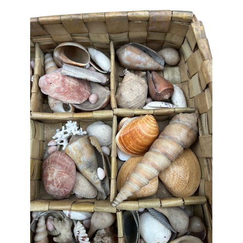 421 - A WICKER MULTI COMPARTMENT BASKET FILLED WITH SEASHORE ITEMS , SHELLS , CORALS ETC