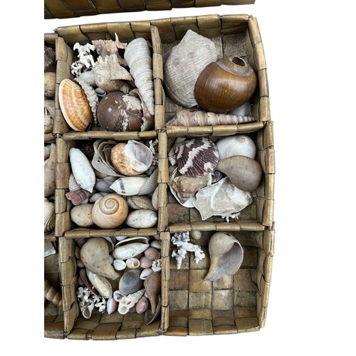 421 - A WICKER MULTI COMPARTMENT BASKET FILLED WITH SEASHORE ITEMS , SHELLS , CORALS ETC