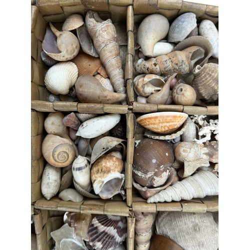 421 - A WICKER MULTI COMPARTMENT BASKET FILLED WITH SEASHORE ITEMS , SHELLS , CORALS ETC