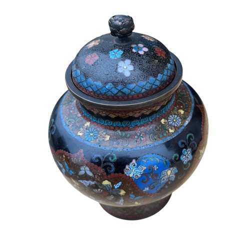 351 - A CLOISONNE JAR AND LID BUTTERFLY DESIGN