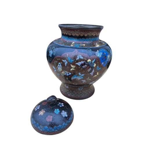 351 - A CLOISONNE JAR AND LID BUTTERFLY DESIGN