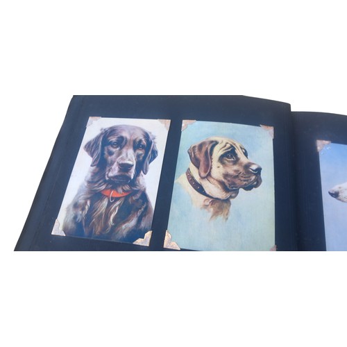 393 - A PHOTO ALBUM WITH PRINTS OF DOGS