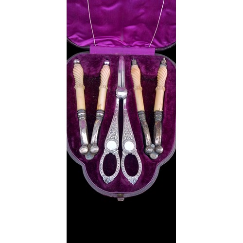 561 - A SUPERB BONE HANDLED ANTIQUE GRAPE SCISSORS & NUT CRACKER SET IN FITTED BOX