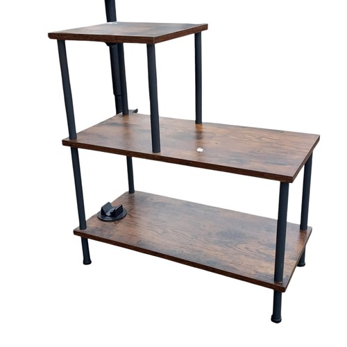 51 - AN EBONY/WALNUT SHOE RACK