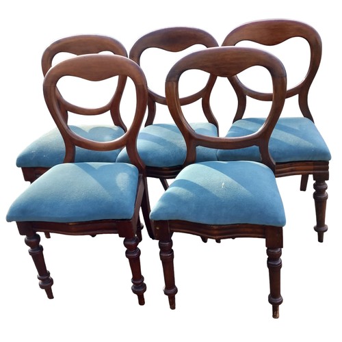 152 - A VERY GOOD SET OF 5 BALLOON BACK CHAIRS ON TURNED LEG