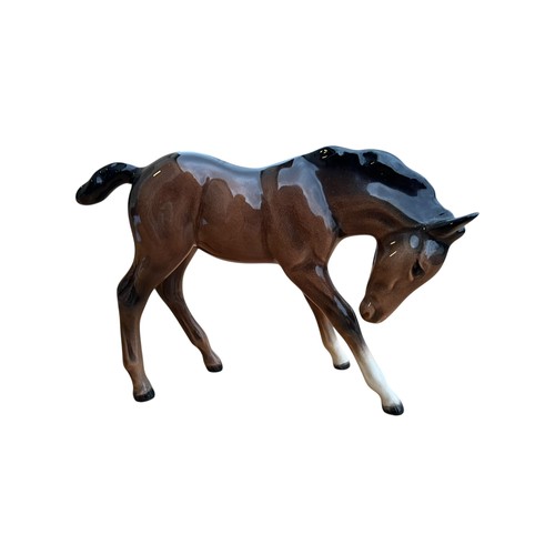 205 - A BESWICK BROWN GLOSS FOAL 11X16cm