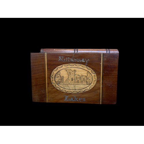 532 - A BEAUTIFUL 19c KILLARNEY WARE CALLING CARD CASE WITH SLIDE TOP  IN EXCELLENT CONDITION 93MMX60MMX10... 