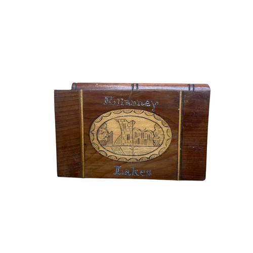 532 - A BEAUTIFUL 19c KILLARNEY WARE CALLING CARD CASE WITH SLIDE TOP  IN EXCELLENT CONDITION 93MMX60MMX10... 