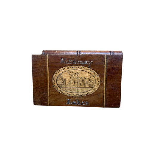 532 - A BEAUTIFUL 19c KILLARNEY WARE CALLING CARD CASE WITH SLIDE TOP  IN EXCELLENT CONDITION 93MMX60MMX10... 