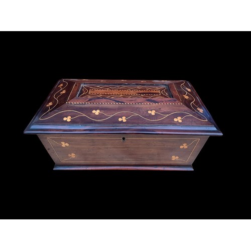 584 - A SUPERB AND VERY RARE 19c SARCOPHAGUS   SHAPE KILLARNEY WARE LARGE TEA CADDY DECORATED ON ALL SIDE ... 