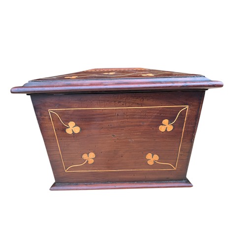 584 - A SUPERB AND VERY RARE 19c SARCOPHAGUS   SHAPE KILLARNEY WARE LARGE TEA CADDY DECORATED ON ALL SIDE ... 