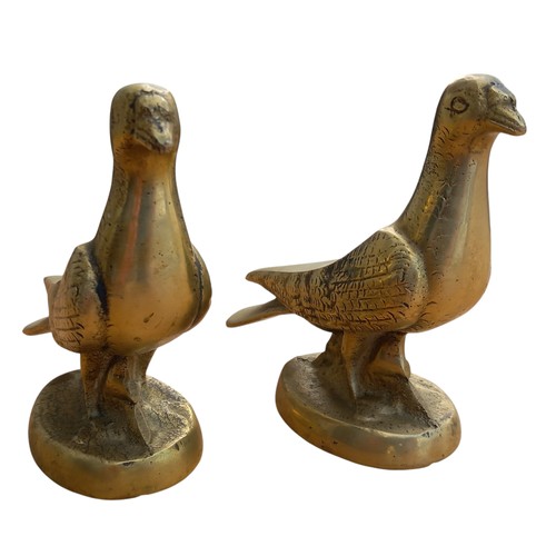 620 - PAIR OF HEAVY BRASS RACING PIGEONS