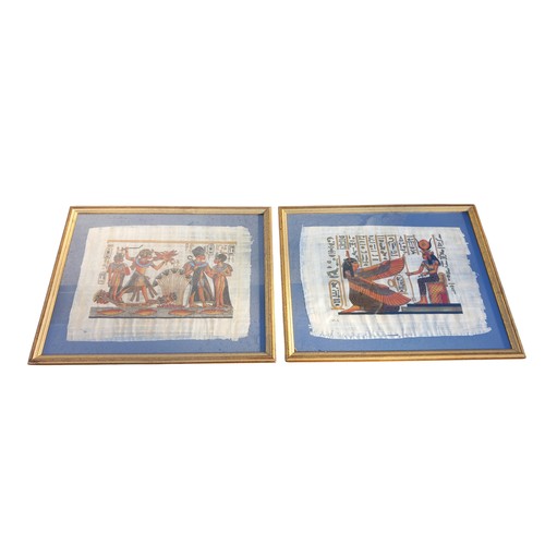 183 - 2 EGYPTIAN PAPYRUS UNDER FRAMES