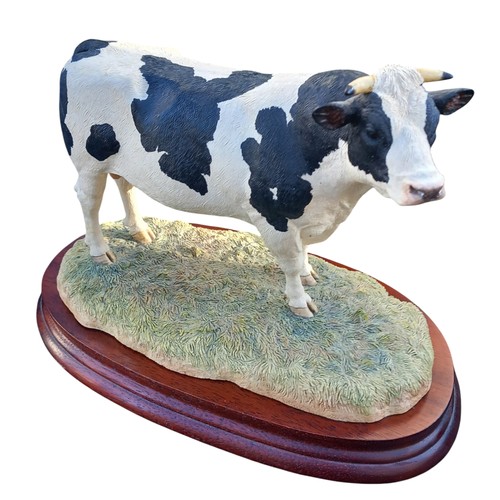 191 - A BOXED BORDER FINE ARTS HOLSTEIN BULL