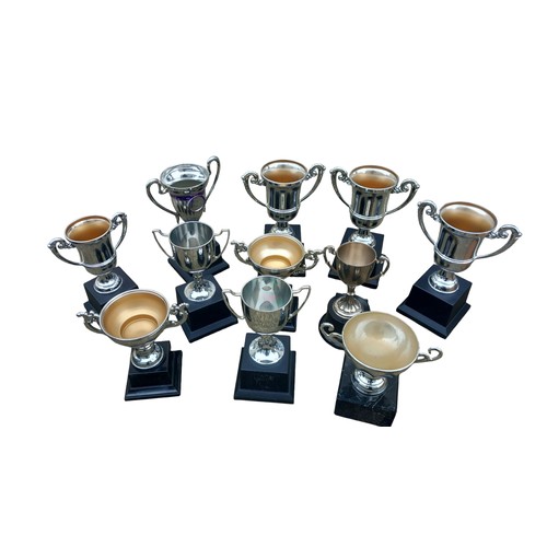 55 - A MIXED LOT OF MOUNTED PLATED TROPHIES