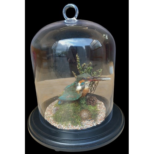 Lot 213       