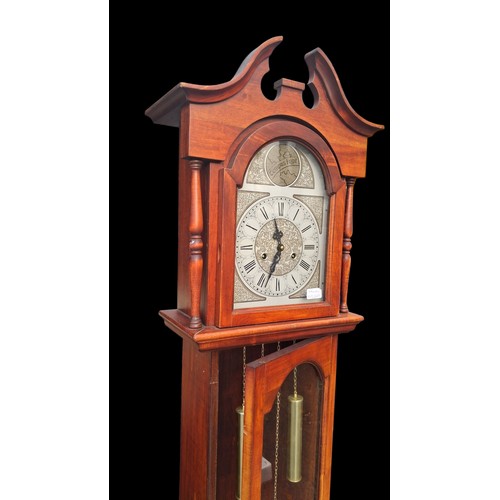 33 - A TEMPUS FUGIT GRANDFATHER CLOCK