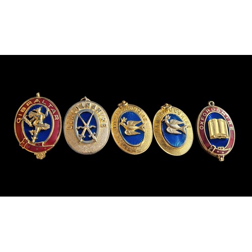 234 - A LOT OF 5 GILT METAL AND ENAMEL FOBS OF LARGE SIZE