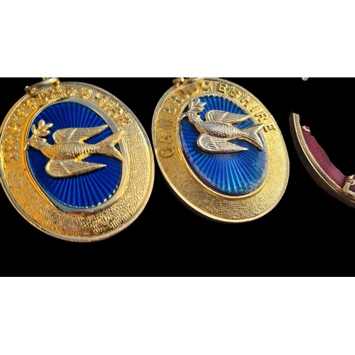 234 - A LOT OF 5 GILT METAL AND ENAMEL FOBS OF LARGE SIZE