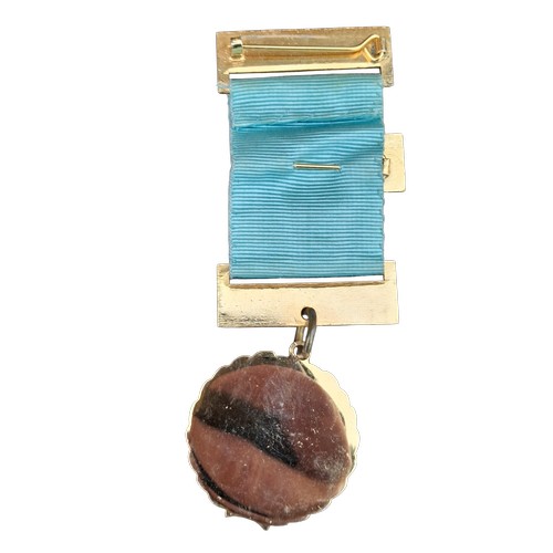 313 - A PALMER LODGE FOUNDER MEDAL FOR THE MASONIC