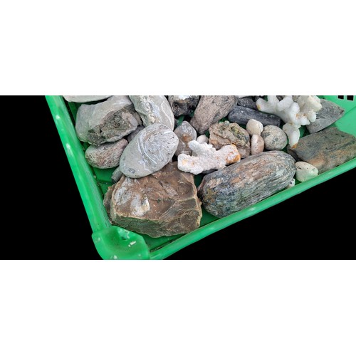 93 - A BOX OF MIXED BEACH FINDS FOSSILS, CORALS , SHELLS ETC