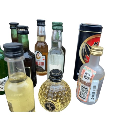 103 - A LOT OF 17 MINIATURES