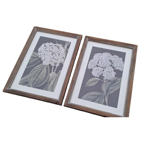 110 - 4 NEW  FRAMED STILL LIFE