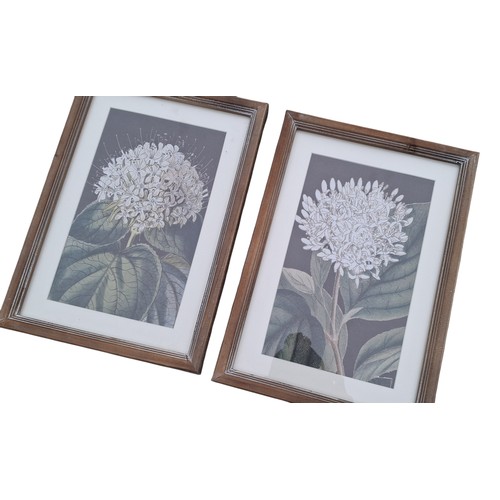 110 - 4 NEW  FRAMED STILL LIFE