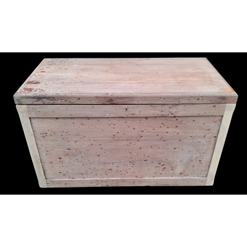 329 - A LIGHT OAK TRUNK