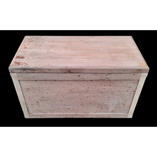 329 - A LIGHT OAK TRUNK