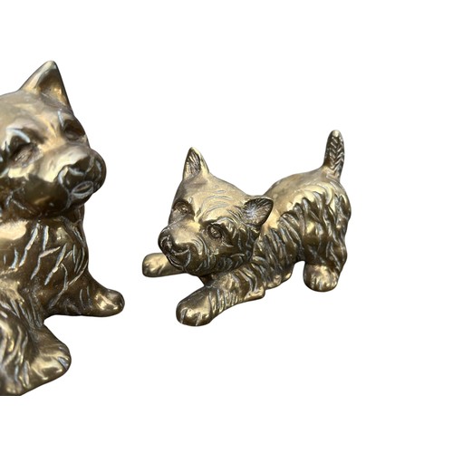 62 - 2 SOLID BRASS WESTIE DOGS