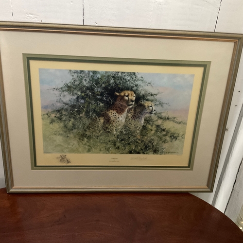 253 - Framed Limited Edition Signed Print by David Shepherd 'Cheetah'. 863/1500

Size: 
63cm wide x 48cm h... 