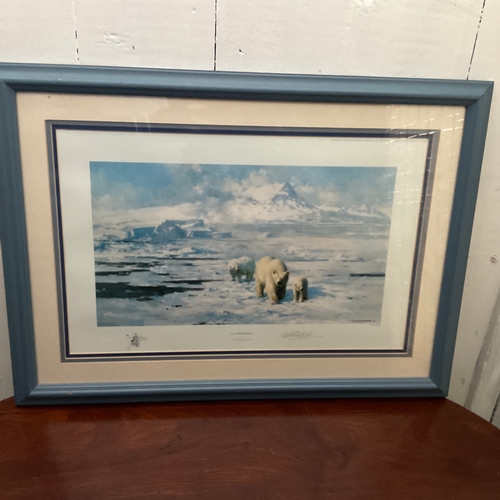 257 - Framed Limited Edition Signed Print by David Shepherd 'Ice Wilderness'. 37/1500

Size: 
64cm wide x ... 