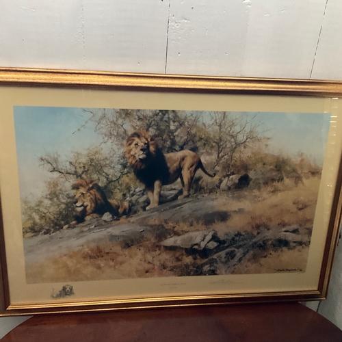 259 - Framed Limited Edition Signed Print by David Shepherd 'The Two Gentlemen of Savuti'. 138/1500

Size:... 