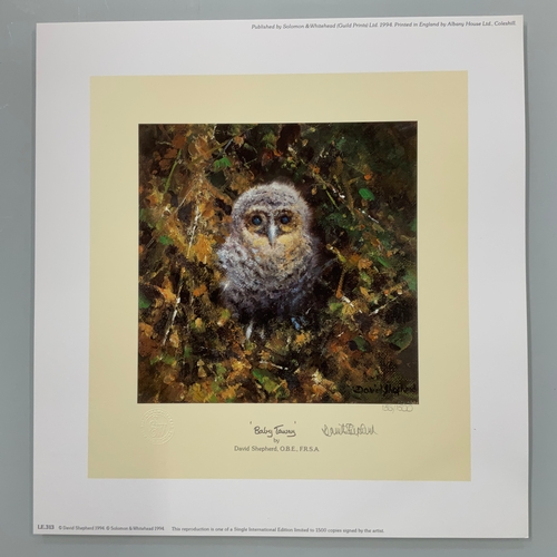 261 - Limited Edition Signed Print by David Shepherd 'Baby Tawny' 136/1500

Size:
22.5cm wide x 26.5cm hig... 