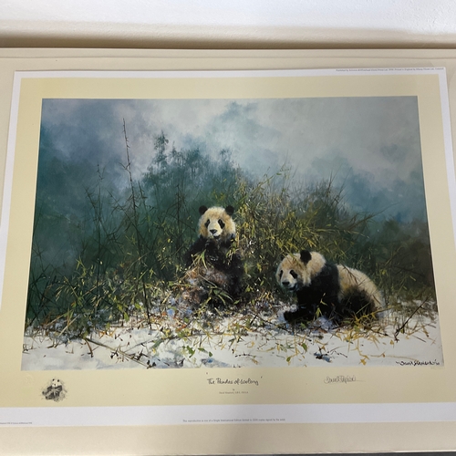 262 - Limited Edition Signed Print by David Shepherd 'The Pandas of Wolong'. 128/1500

Size: 
73cm wide x ... 