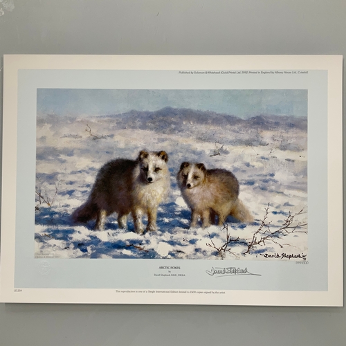 263 - Limited Edition Signed Print by David Shepherd 'Arctic Foxes'. 599/1500

Size: 
44cm wide x 33cm hig... 