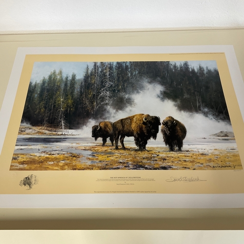 264 - Limited Edition Signed Print by David Shepherd 'The Hot Springs of Yellowstone'  456/1500

Size:
69c... 