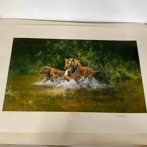 265 - Limited Edition Signed Print by David Shepherd 'Indian Summer'. 190/350

Size: 
94cm wide x 64cm hig... 