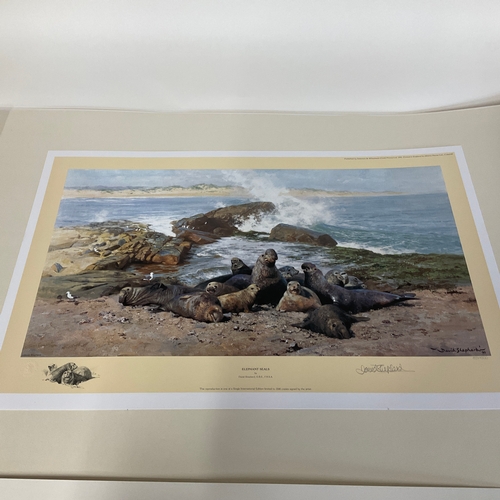 266 - Limited Edition Print by David Shepherd 'Elephant Seals'. 831/1500

Size: 
64cm wide x 41cm high