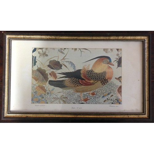 57 - House of Talbot Small Print of 'Canard Duck - Mandarin Duck' Japon - 18e Siecle