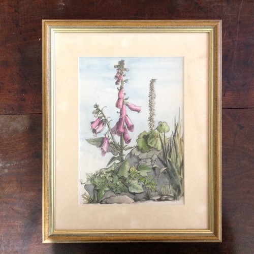 58 - Pennie Heyworth Medium Watercolour Painting of Foxgloves

Size: 41cm x 34cm